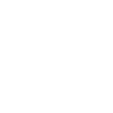 Walz Travels